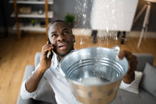 Best Local water damage restoration  in Coeur Dalene, ID