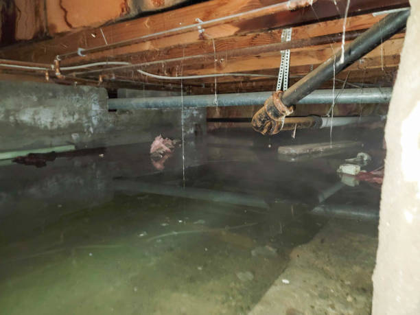 Best Water damage mitigation services  in Coeur Dalene, ID