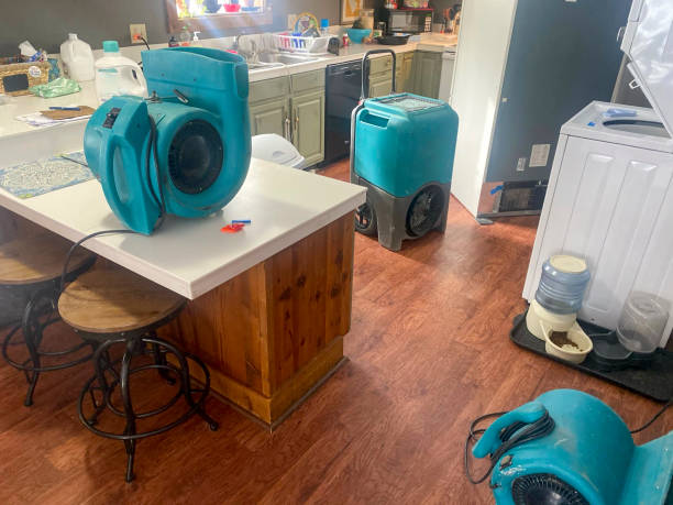 Best Basement water damage restoration  in Coeur Dalene, ID