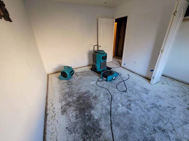Trusted ID Water damage restoration Experts