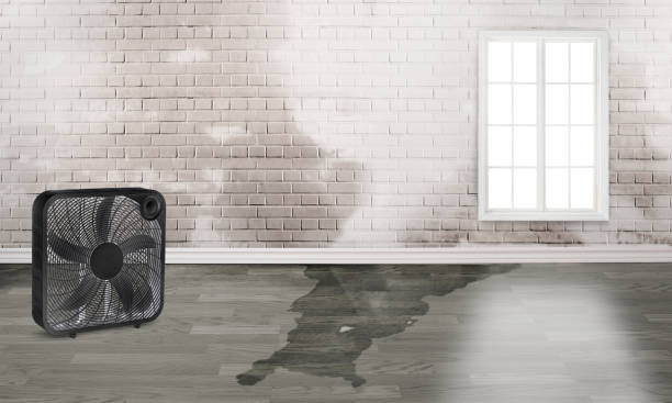 Best 24-hour water damage restoration  in Coeur Dalene, ID