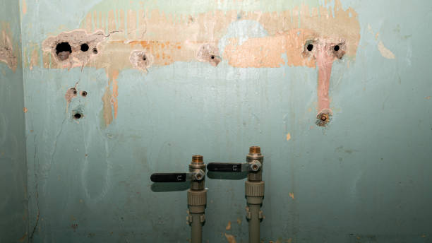 Best Professional water damage repair  in Coeur Dalene, ID