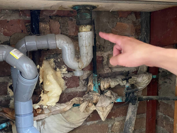 Best Basement water damage restoration  in Coeur Dalene, ID