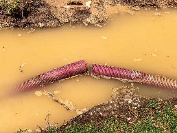 Best Water damage restoration near me  in Coeur Dalene, ID